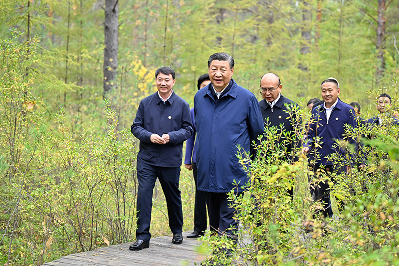 9月6日至8日，中共中央总书记、国家主席、中央军委主席习近平在黑龙江考察。这是6日下午，习近平在大兴安岭地区漠河市漠河林场自然林区考察